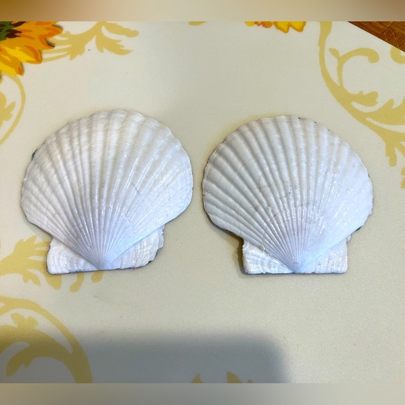 DECOUPAGED SCALLOP SEASHELL SOUTHPORT ISLAND MAINE MAP TRIMMED IN 24K GOLD LEAF. - Picture 5 of 8